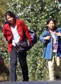 色虎下载